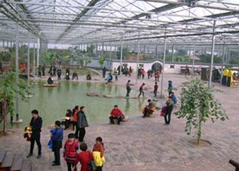 生态餐厅温室5.jpg