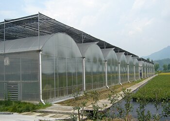 养殖温室大棚1.jpg