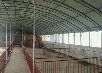 养殖温室大棚4.jpg