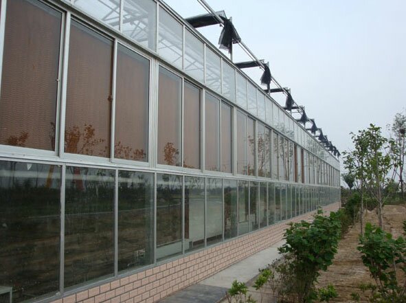 玻璃温室大棚